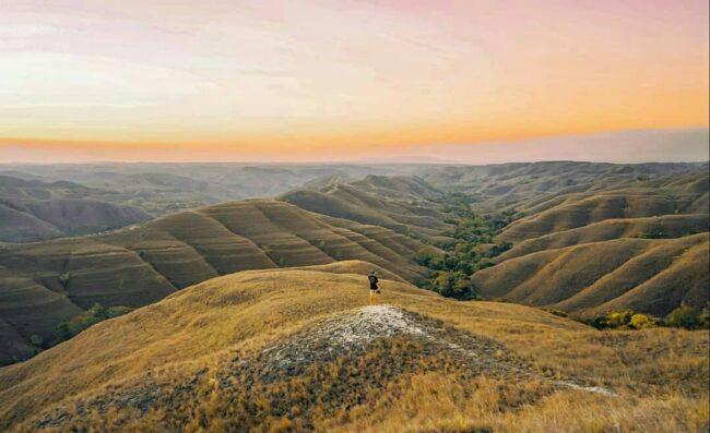 Bukit-Hiliwuku-Sumba-e1594880960882